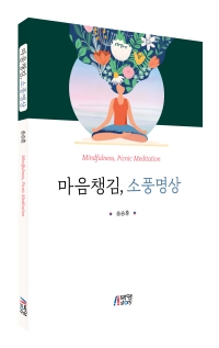 마음챙김, 소풍명상