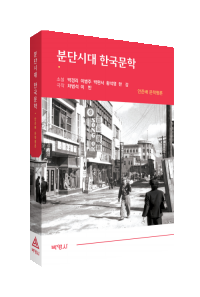 분단시대의 한국문학