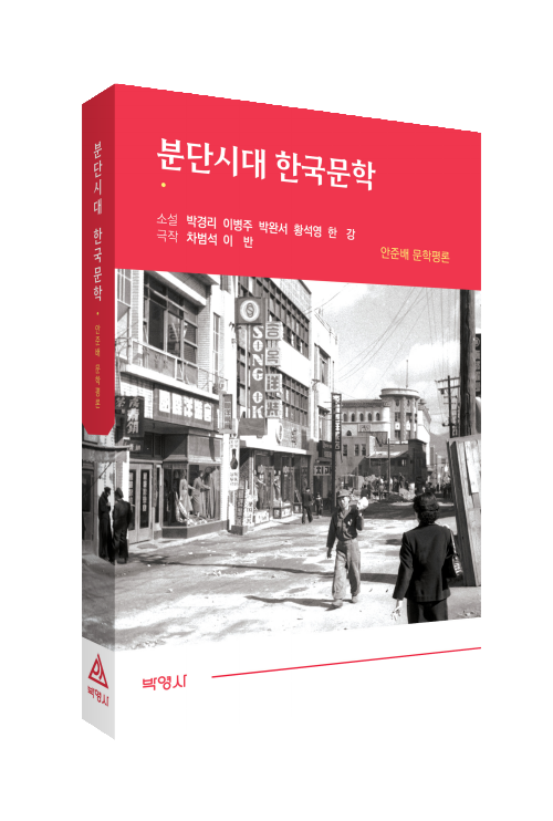 분단시대의 한국문학