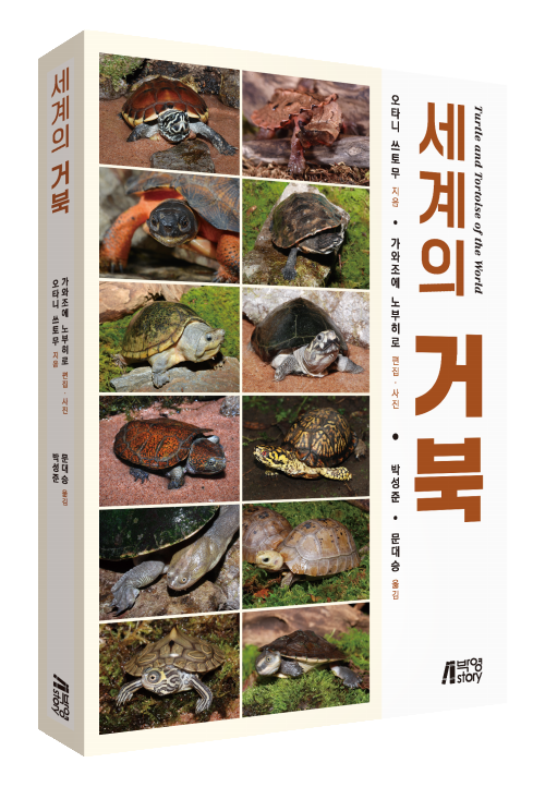 세계의 거북
